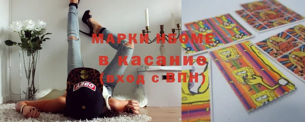 хмурый Сатка