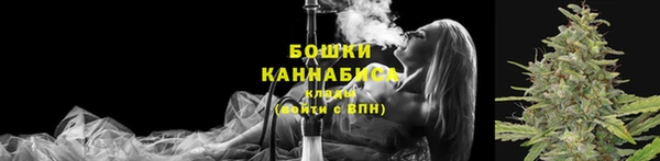 МДПВ Саяногорск