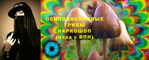 стаф Грязи