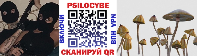 omg маркетплейс  Лосино-Петровский  сайты даркнета формула  Галлюциногенные грибы Psilocybe 