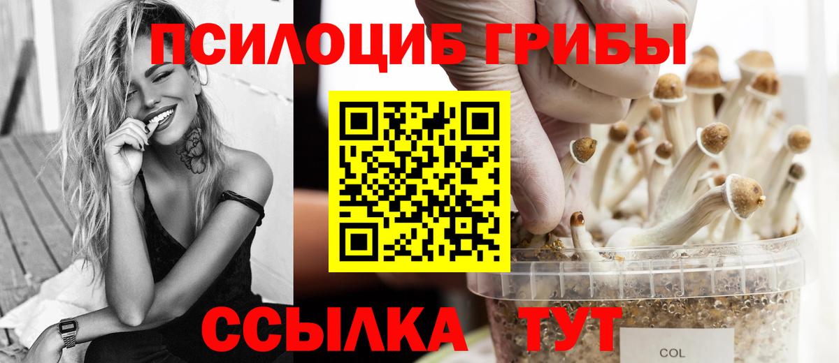 Псилоцибиновые грибы прущие грибы  Вход с VPN  Лосино-Петровский  Галлюциногенные грибы MAGIC MUSHROOMS 